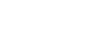 Institut français
